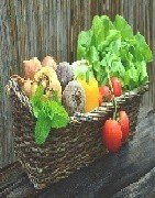 Légumes, fruits, aromates bio et naturels