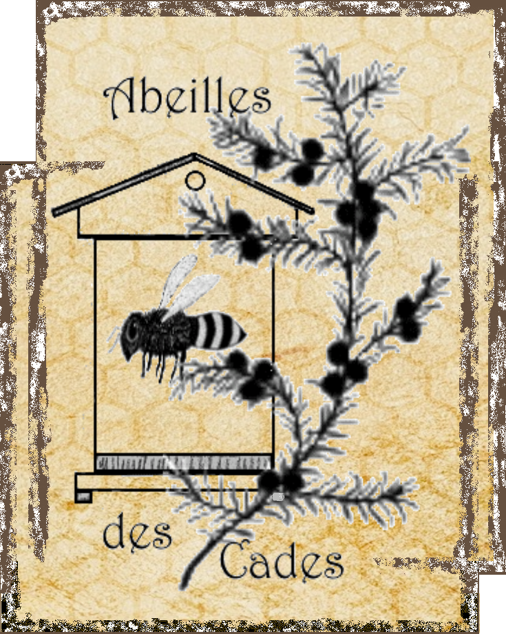 Abeilles des cades